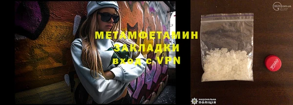 прущие грибы Медногорск