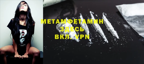 прущие грибы Медногорск