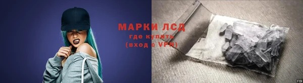 шишки Абинск