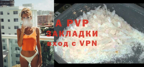 шишки Абинск