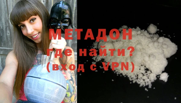прущие грибы Медногорск