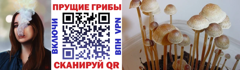 Галлюциногенные грибы мицелий  цена наркотик  МЕГА вход  Фурманов 