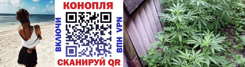 сколько стоит  Фурманов  Бошки марихуана гибрид 